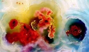 Đo lường Khoáng sản Niko Đo lường Khoáng sản Niko